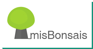 Logo MisBonsais